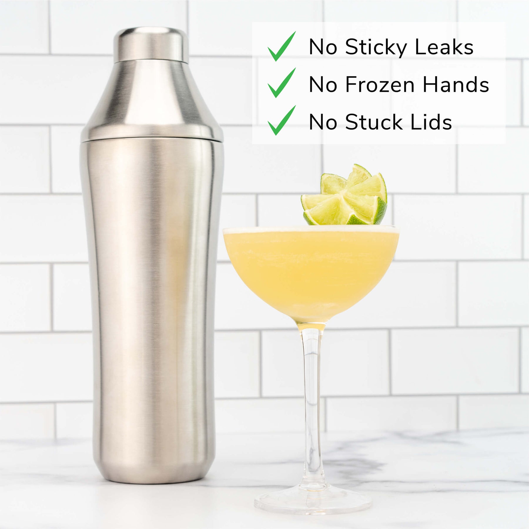 Williams Sonoma Elevated Craft Cocktail Shaker