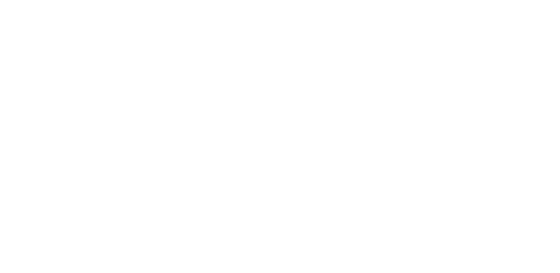 Elevatedcraft